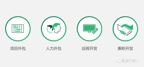 數(shù)字化轉(zhuǎn)型項(xiàng)目軟件外包開發(fā)痛點(diǎn)總結(jié)