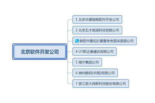 軟件開(kāi)發(fā)外包公司有哪些