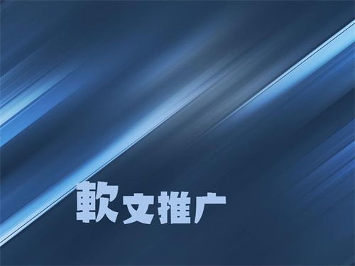 廣州軟文發布外包 廣州軟件開發外包公司